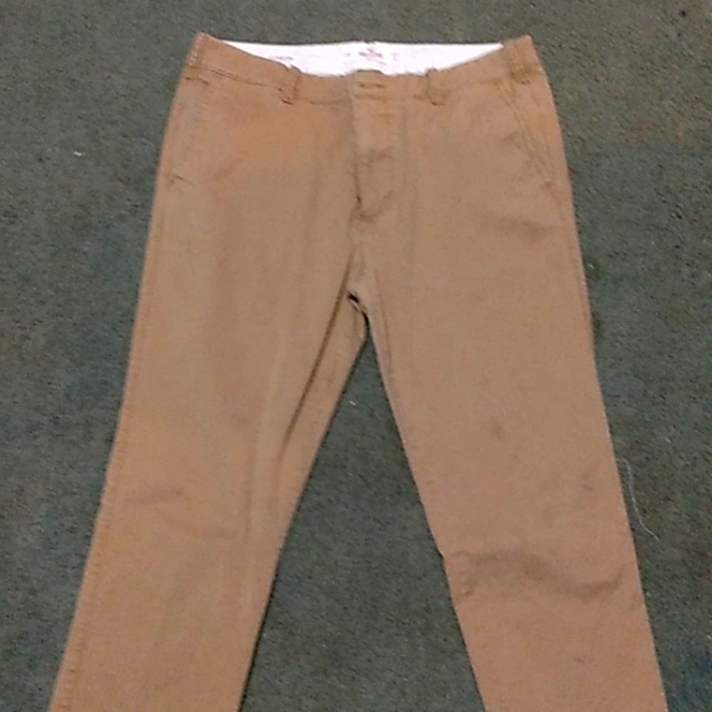 Dress pants